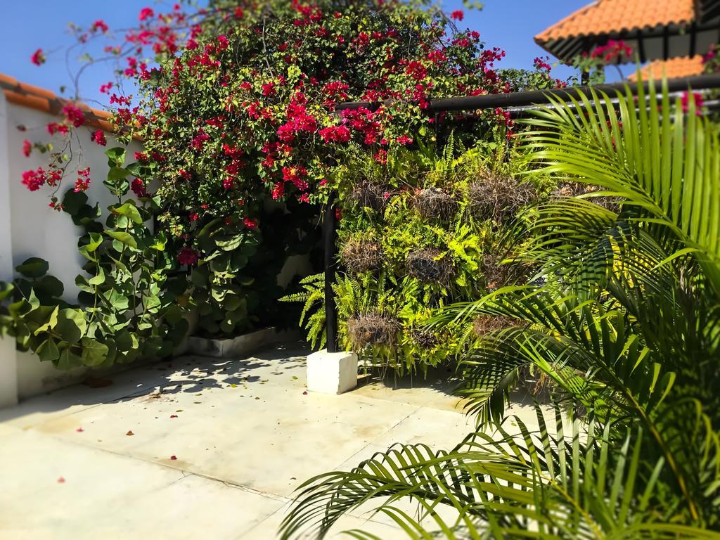 Casa Ines Santa Marta (Magdalena) Bagian luar foto